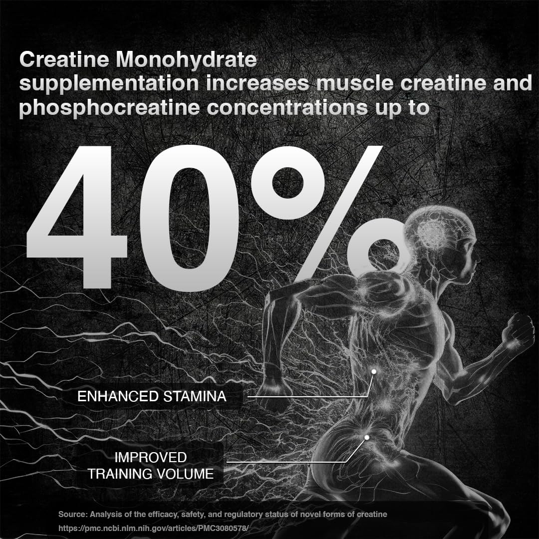 BeastLife Micronised Creatine Monohydrate (Shikanji Flavour) – NABL Lab Tested, Rapid Absorption, 319 g / ~86 Servings – Strength & Recovery Booster